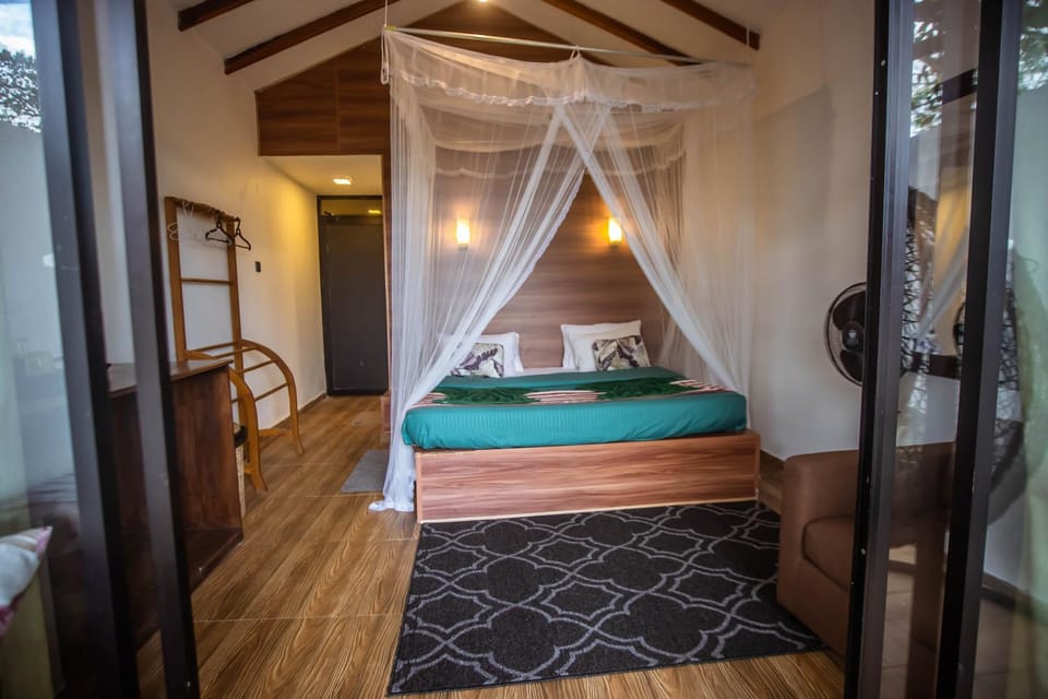 Bed, Photo of the whole room