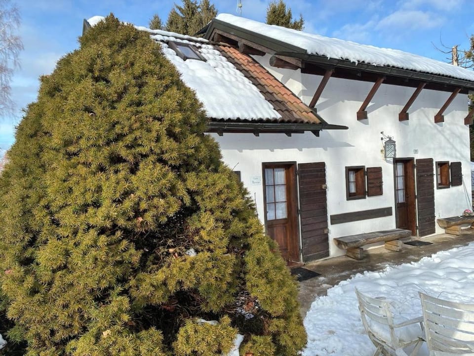 Casera Marisa Nevegal Chalet in Trentino-South Tyrol