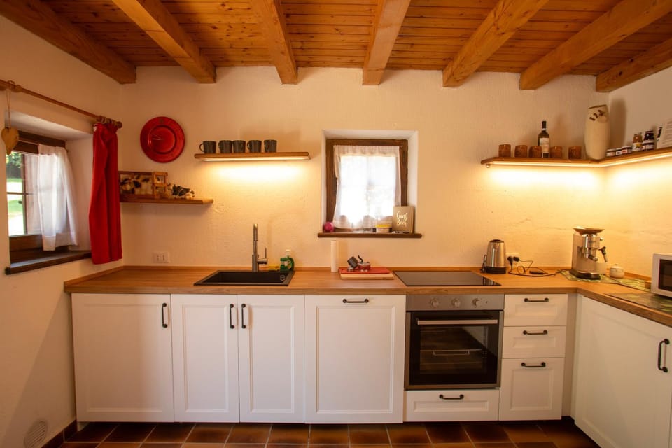 Kitchen or kitchenette, dishwasher, minibar, pet friendly, stove