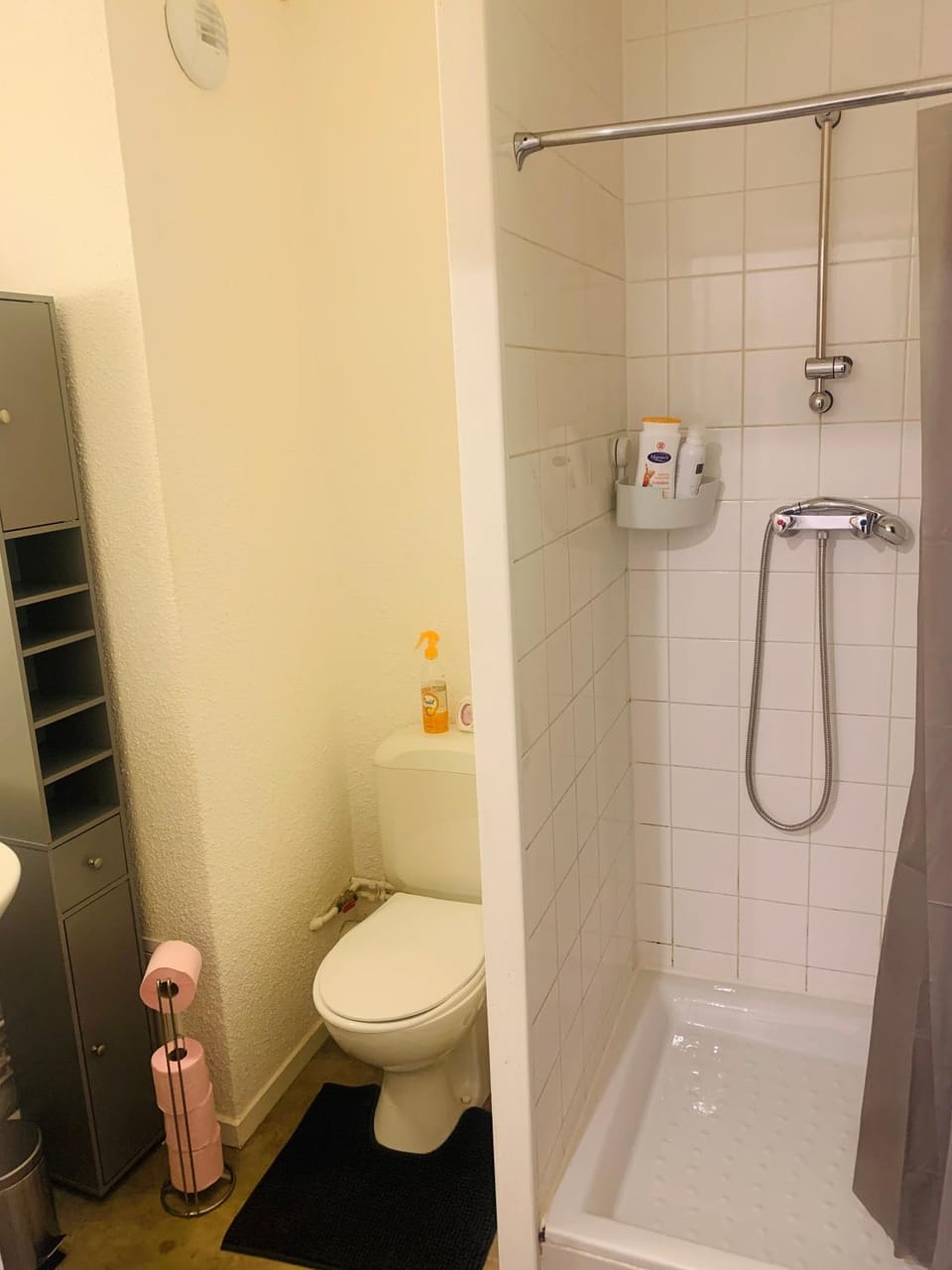Shower, Toilet, Bathroom
