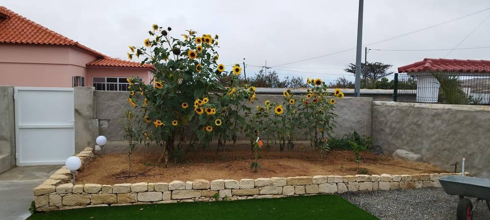 Garden, Garden view