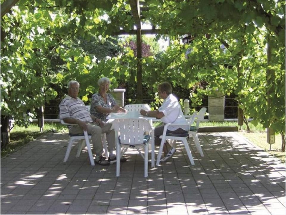 Garden, group of guests