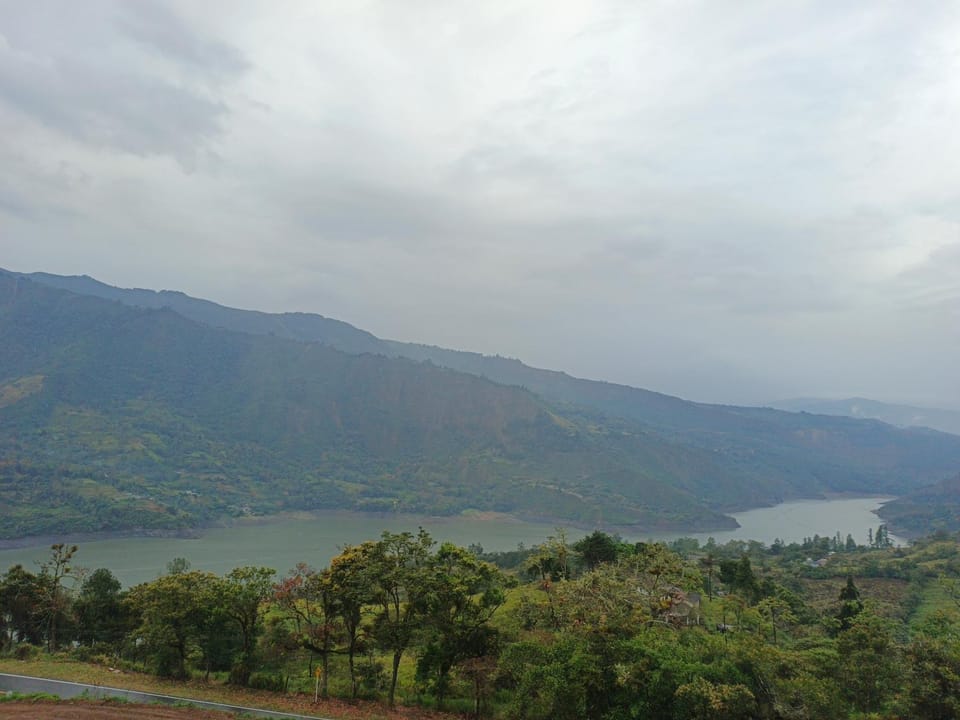 View (from property/room)