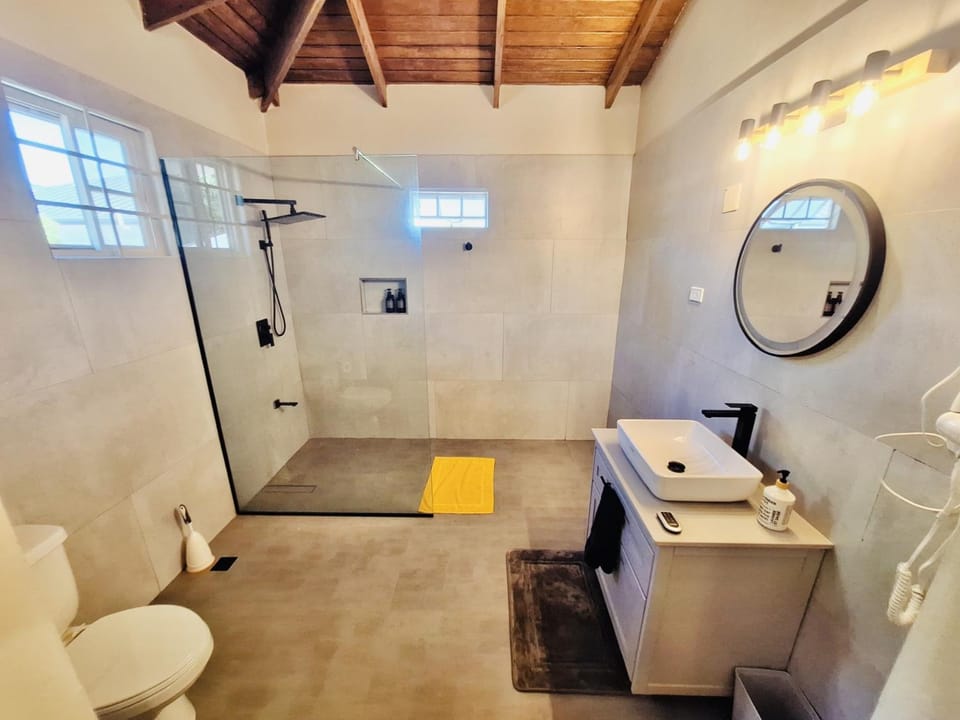 Shower, Bathroom, towels