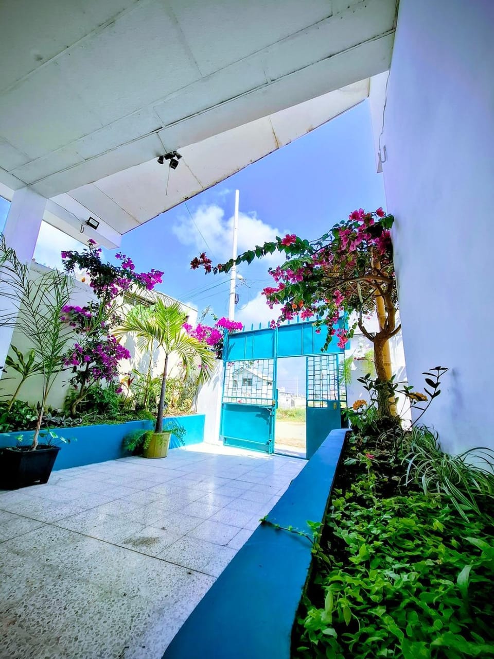 Garden, Garden view, Parking
