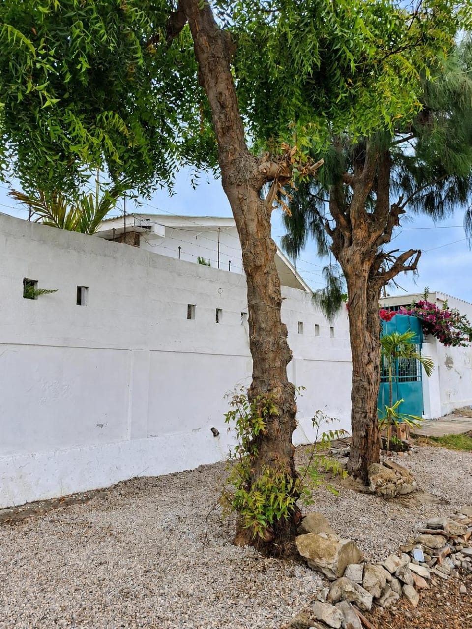 Property building, Garden, Garden view