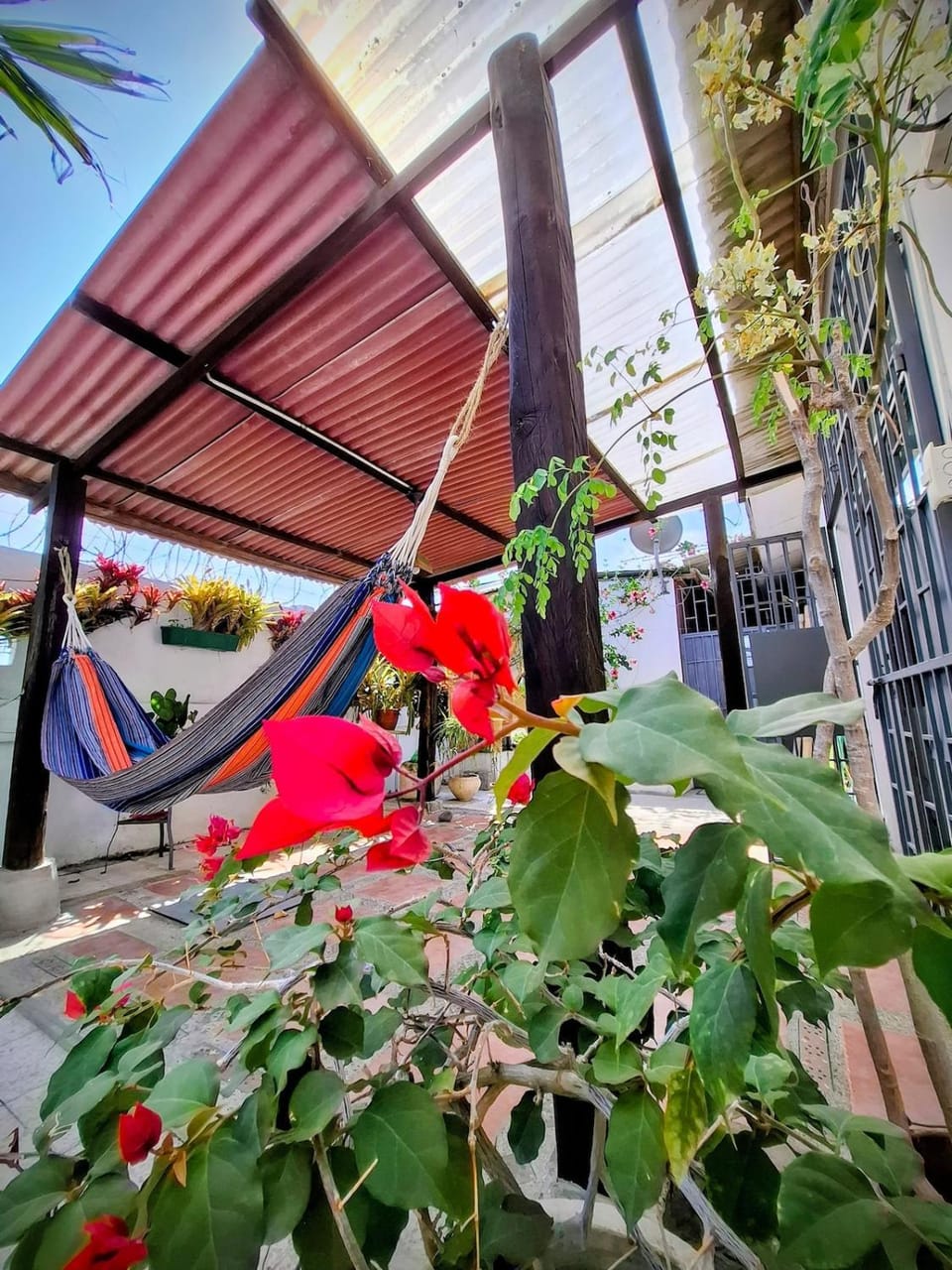 Patio, Garden, Garden view