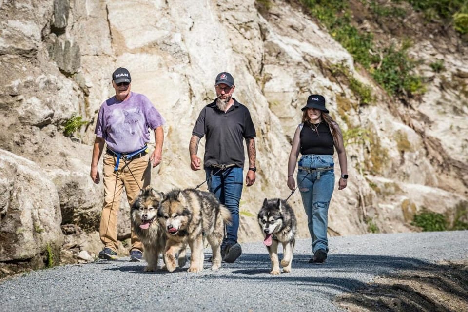 Creekside Haven on a Sleddog Farm Apartment in Clearwater County