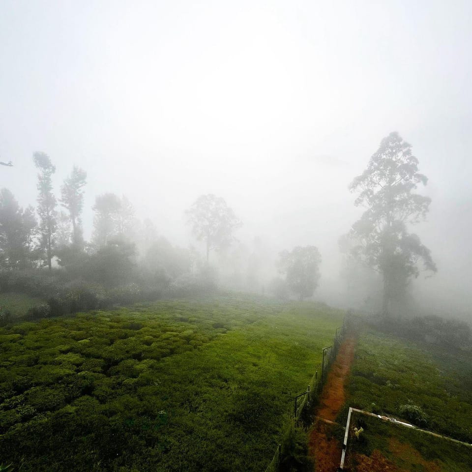 Natural landscape