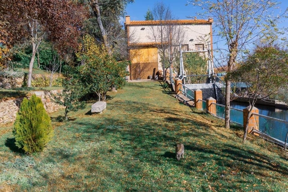 La Higuerilla, Finca Casas del Tormes Villa in Castile and León