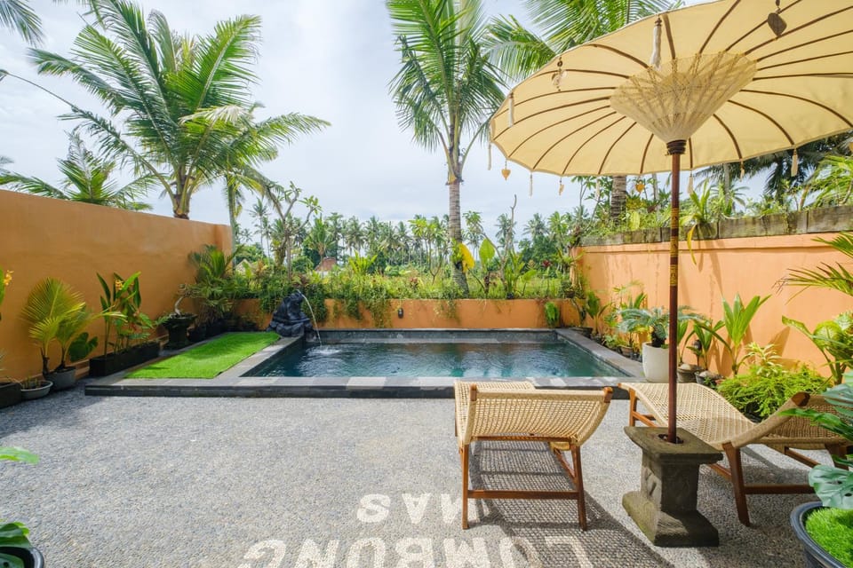 Natural landscape, Swimming pool