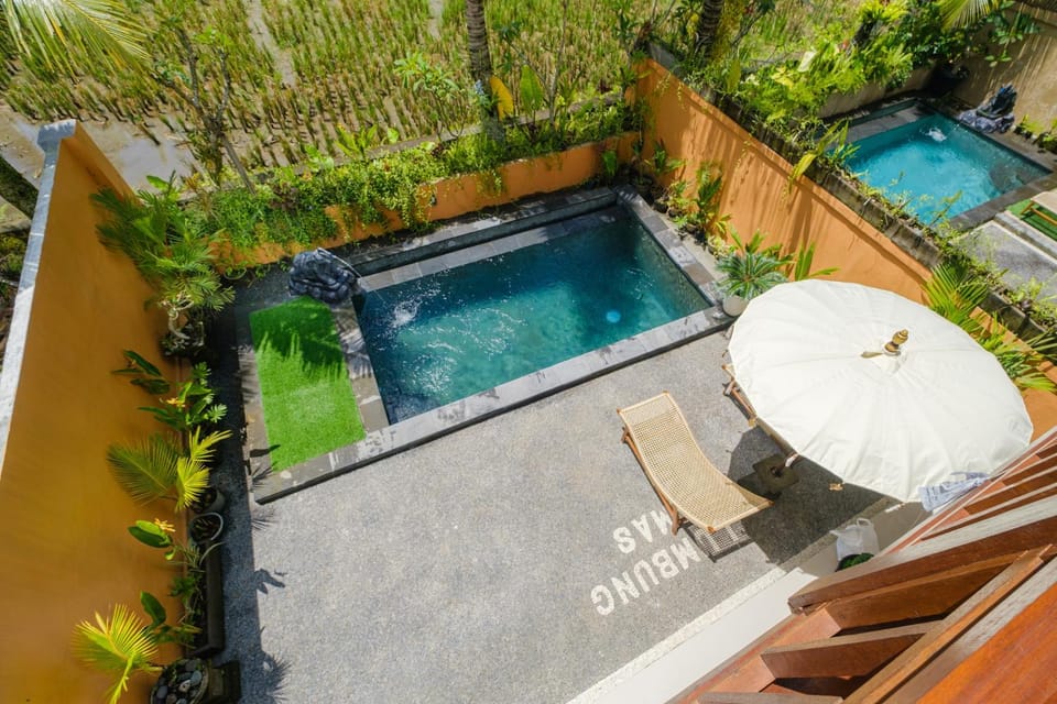 Patio, Swimming pool, sunbed