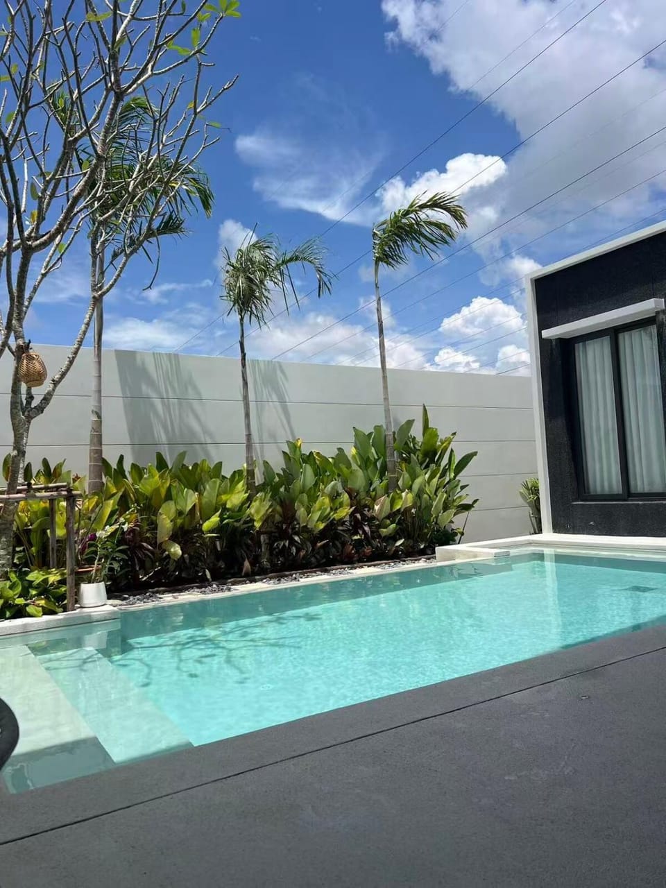 Garden, Swimming pool