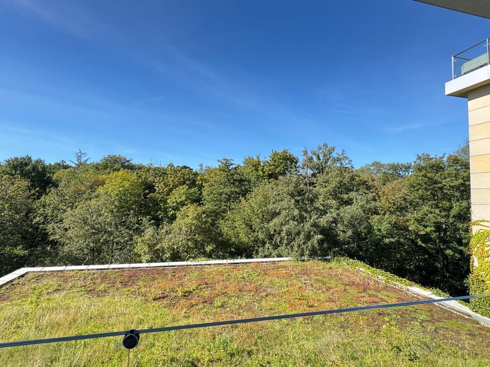 Day, Natural landscape, Balcony/Terrace, Garden view
