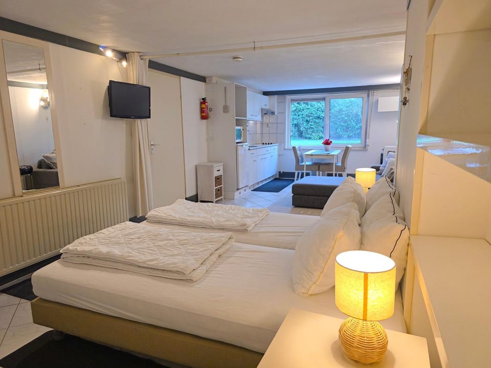 Bed, TV and multimedia, Seating area, Dining area