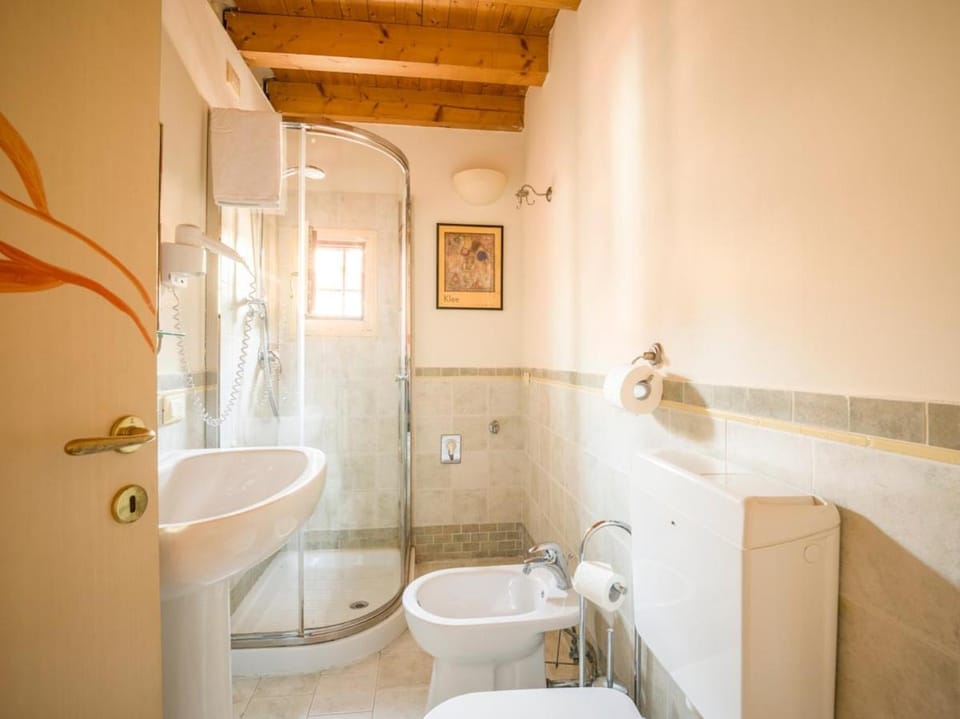 Shower, Toilet, Bathroom, bidet