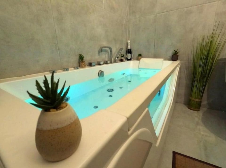 Romantic Suite with Private Jacuzzi & Free Parking Apartment in Avignon