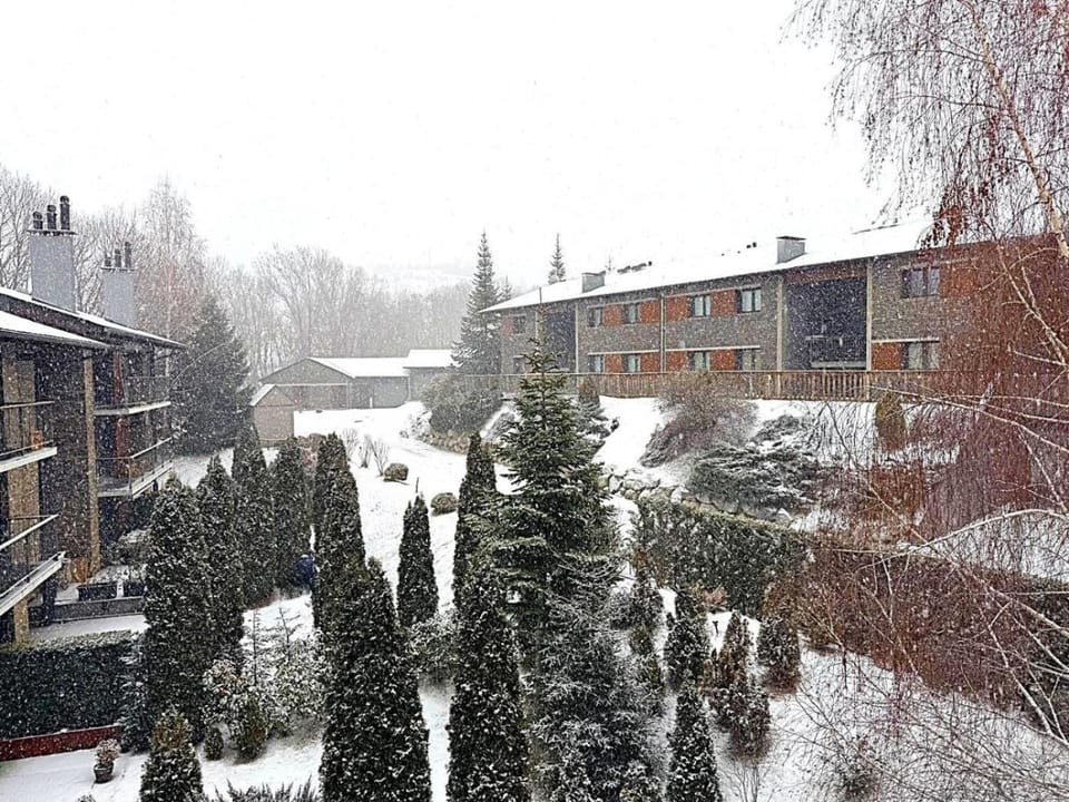 Property building, Winter