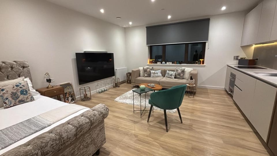 Modern large studio at facilities Apartment in London Borough of Ealing