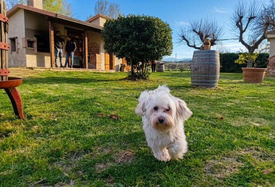 BORGO LE MIMOSE Exclusive 40-Guest Private Estate in Umbria with Pool House in Umbria