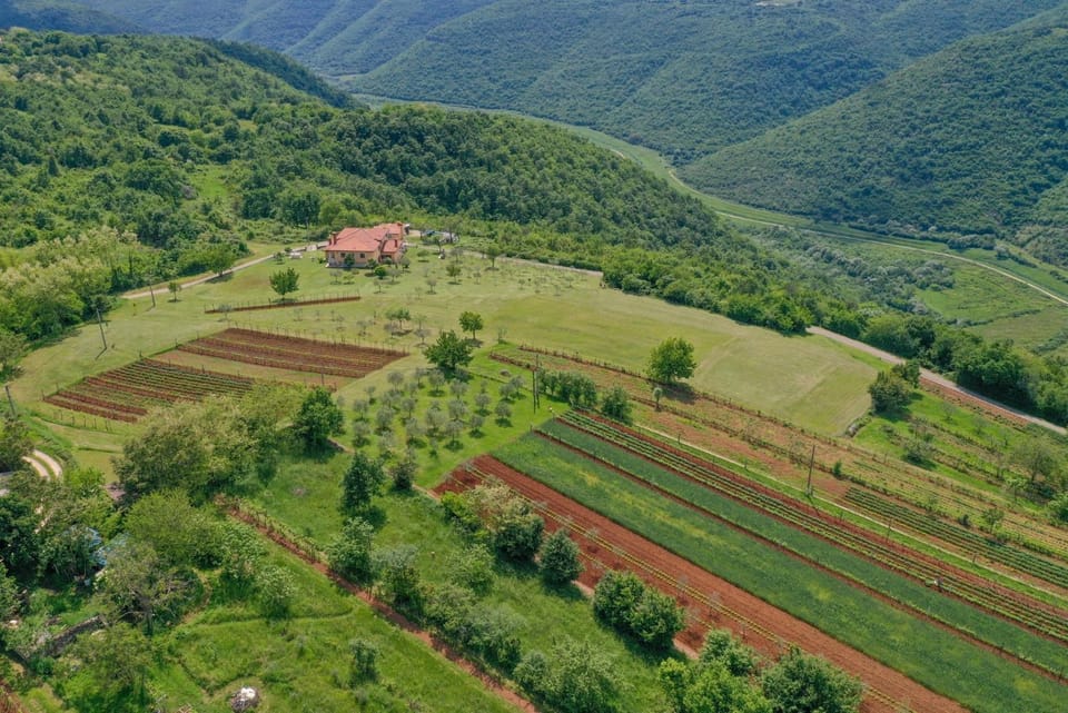Solitude in Ružići - Istrien Bed and Breakfast in Istria County