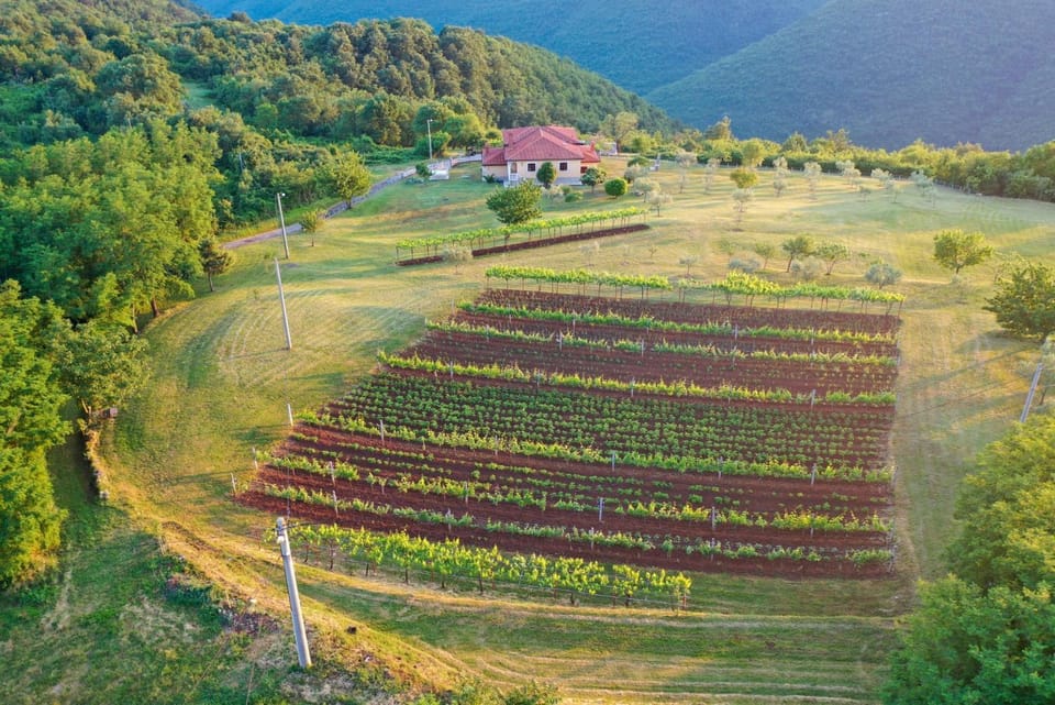 Solitude in Ružići - Istrien Bed and Breakfast in Istria County