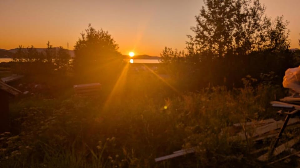 Cabin with sea view, northern lights and midnight sun Cabin in Nordland, Norway