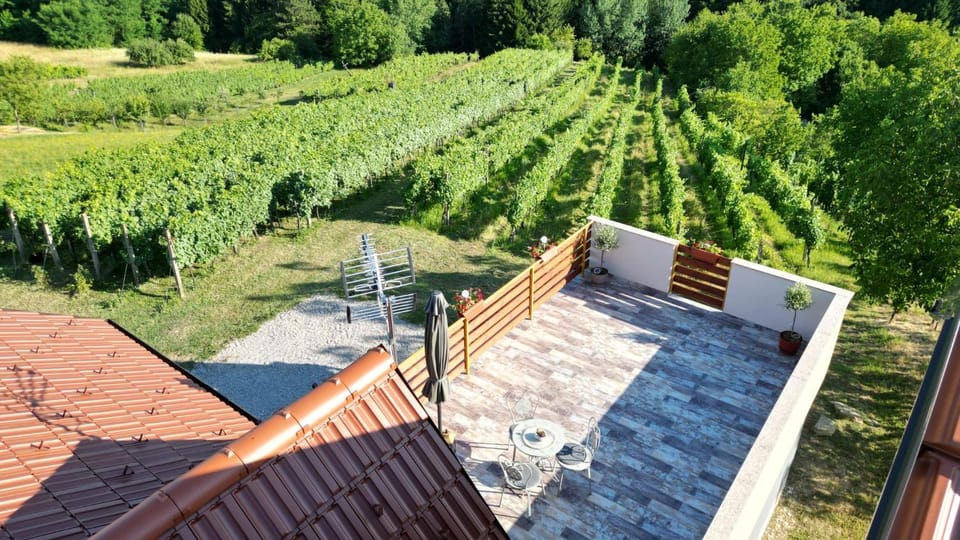 Kuća za odmor Velnira House in Croatia