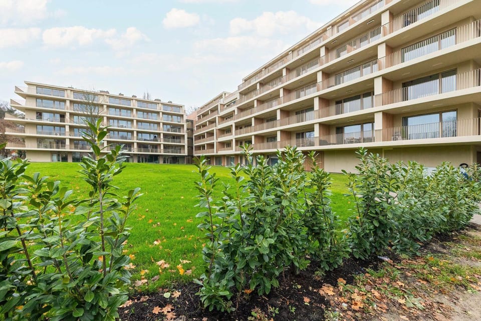 Property building, Natural landscape