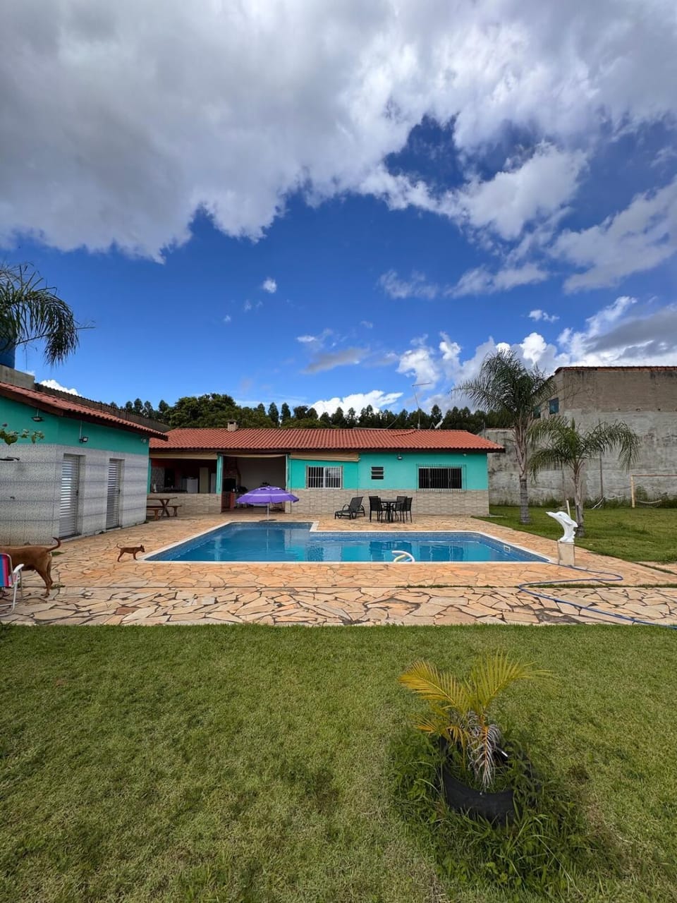 Property building, Day, Garden, Pool view, Swimming pool