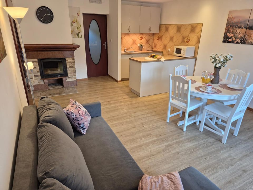 Kitchen or kitchenette, Living room, Seating area, fireplace
