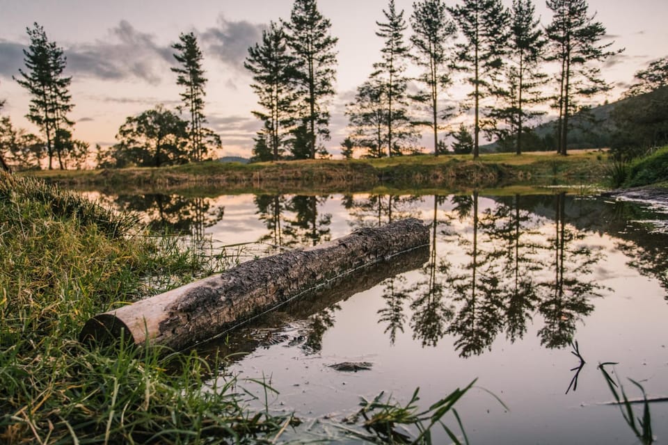 Lake view
