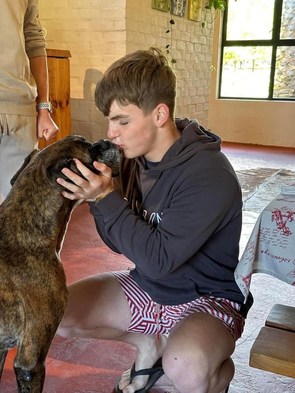 Animals, Pets