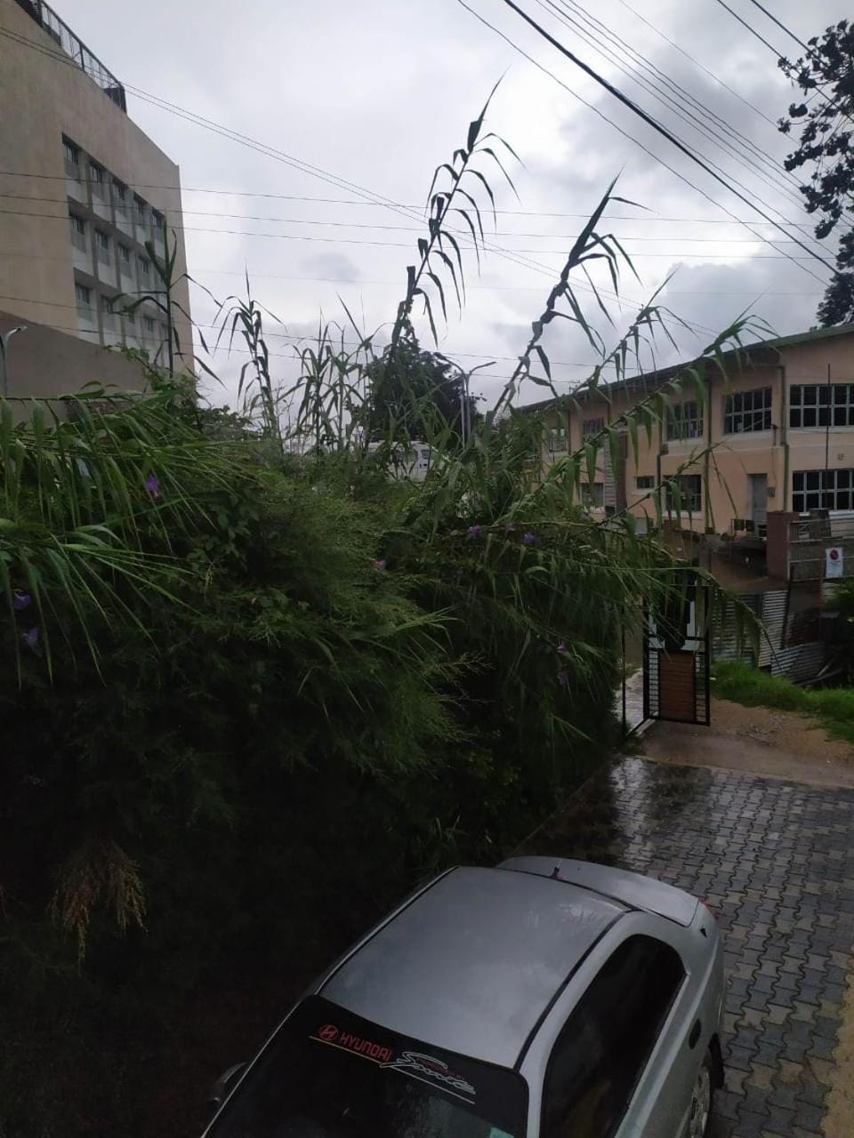 Leoz Udeni Inn Inn in Nuwara Eliya