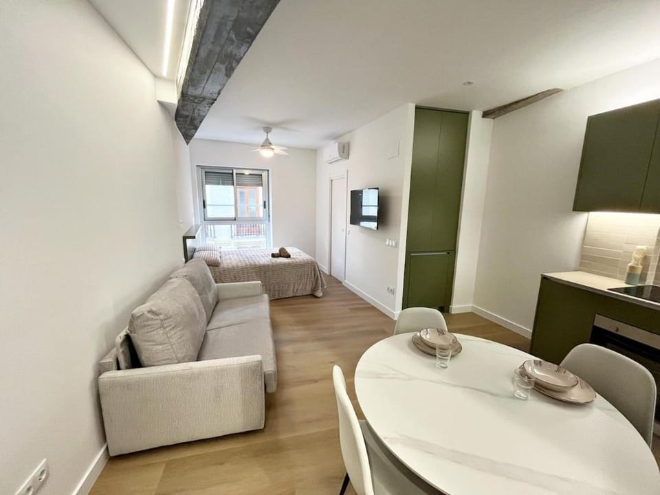 Loft en el Centro De Valencia Botánico 5 Apartment in Valencia