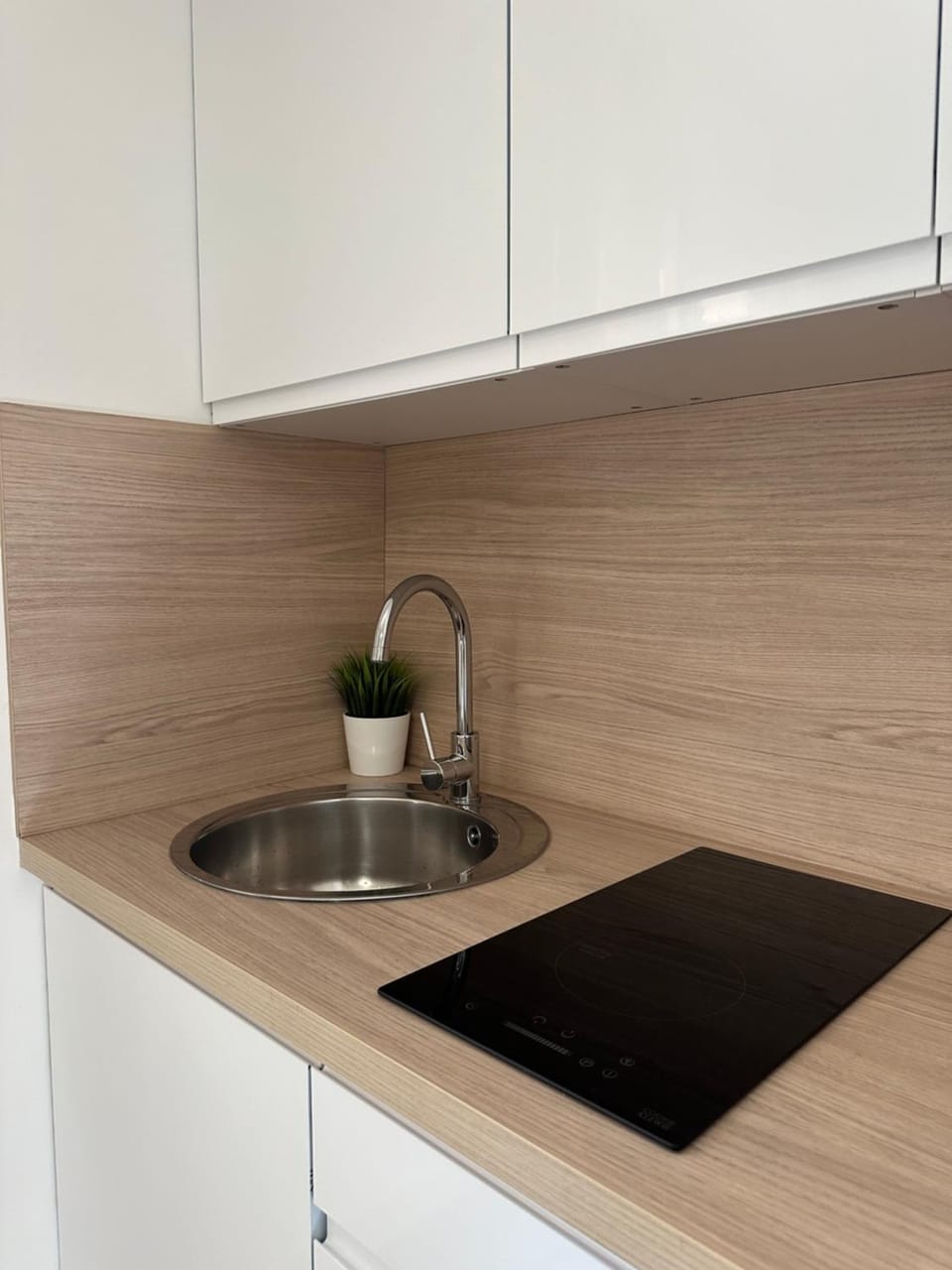 Studio - Nice Palais des Expositions Apartment in Nice