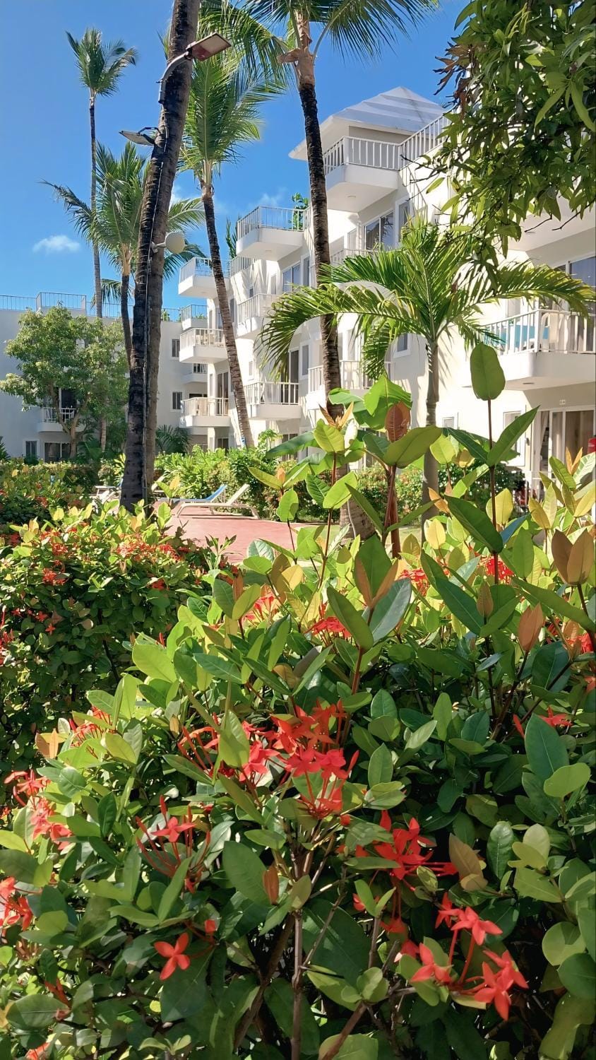 Property building, Garden, Balcony/Terrace, Garden view