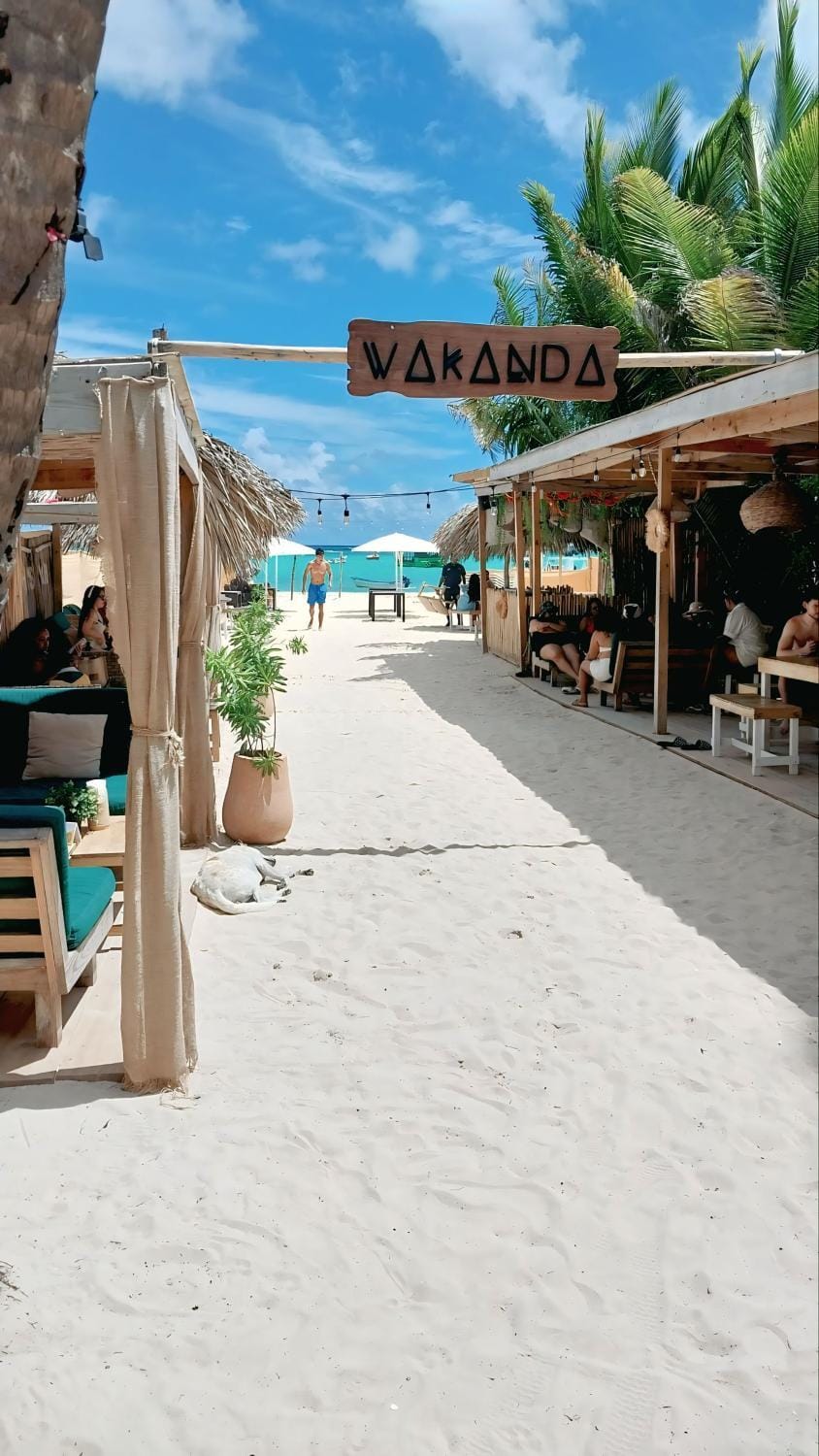 Restaurant/places to eat, Day, Natural landscape, Beach, sunbed
