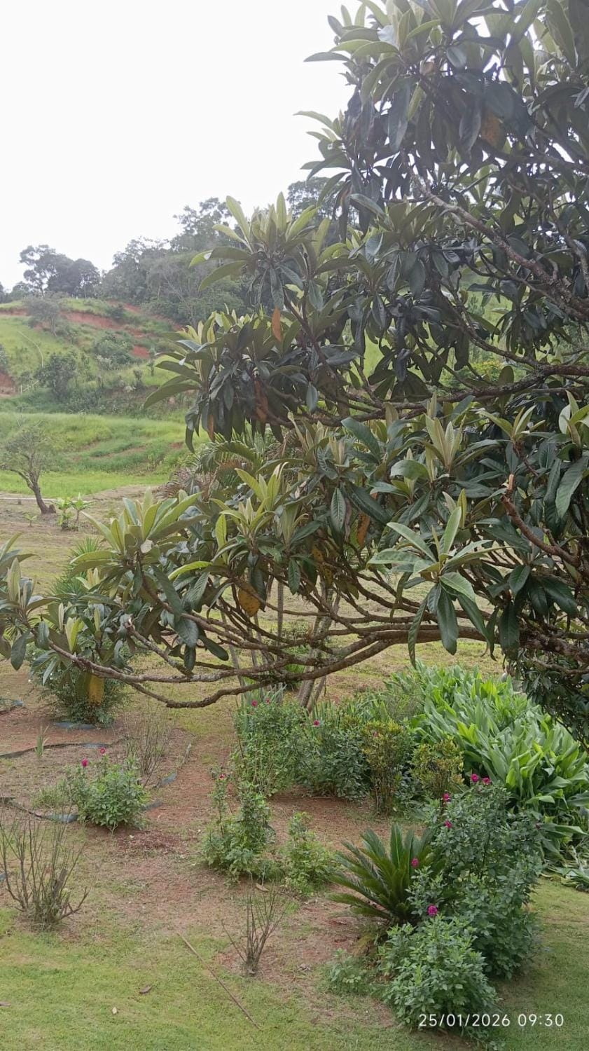 Natural landscape