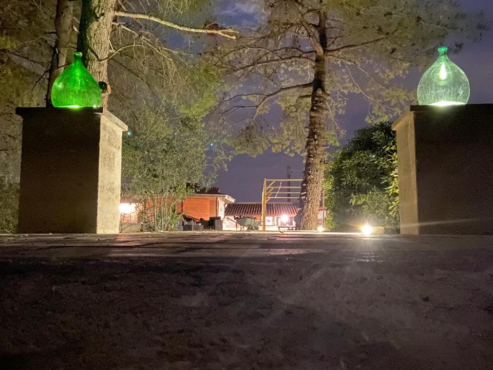 Night, Natural landscape