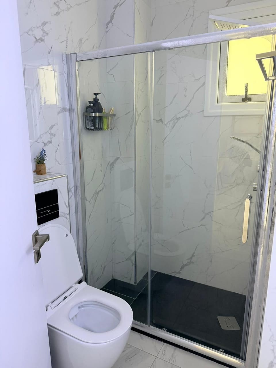 Shower, Toilet