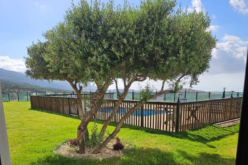 Patio, Spring, Mountain view, Swimming pool