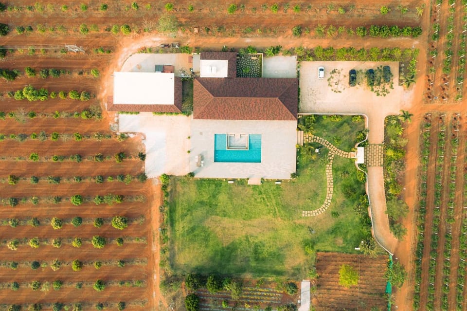 Property building, Day, Natural landscape, Bird's eye view, Garden, Garden view, Pool view, Swimming pool