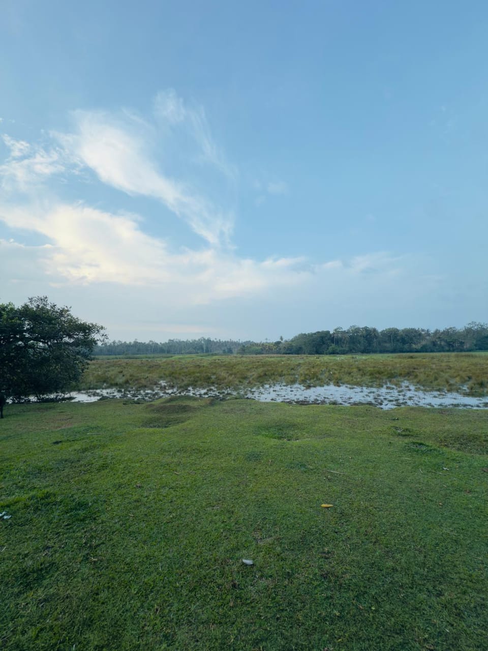 Landmark view