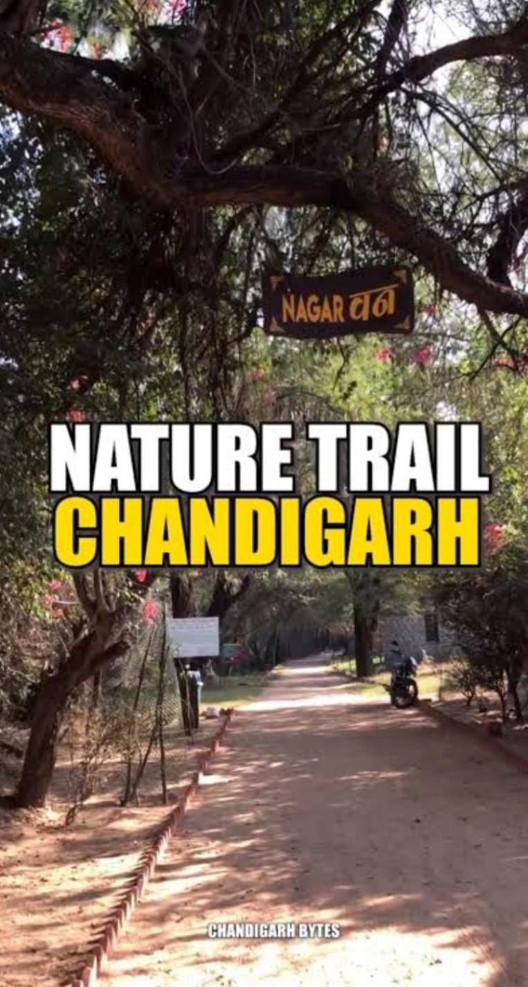 Ik home stay Apartment in Chandigarh