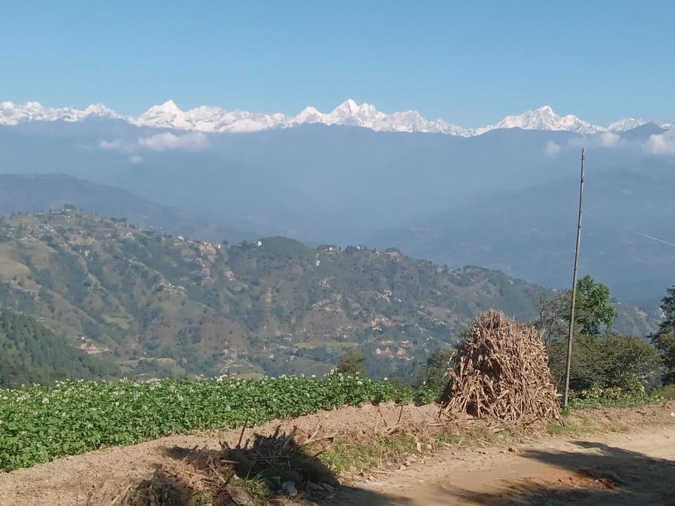 Mountain view