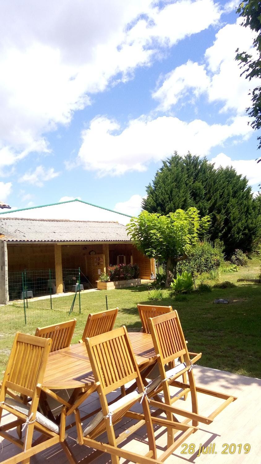 Patio, Garden, Garden, Balcony/Terrace, Lounge or bar