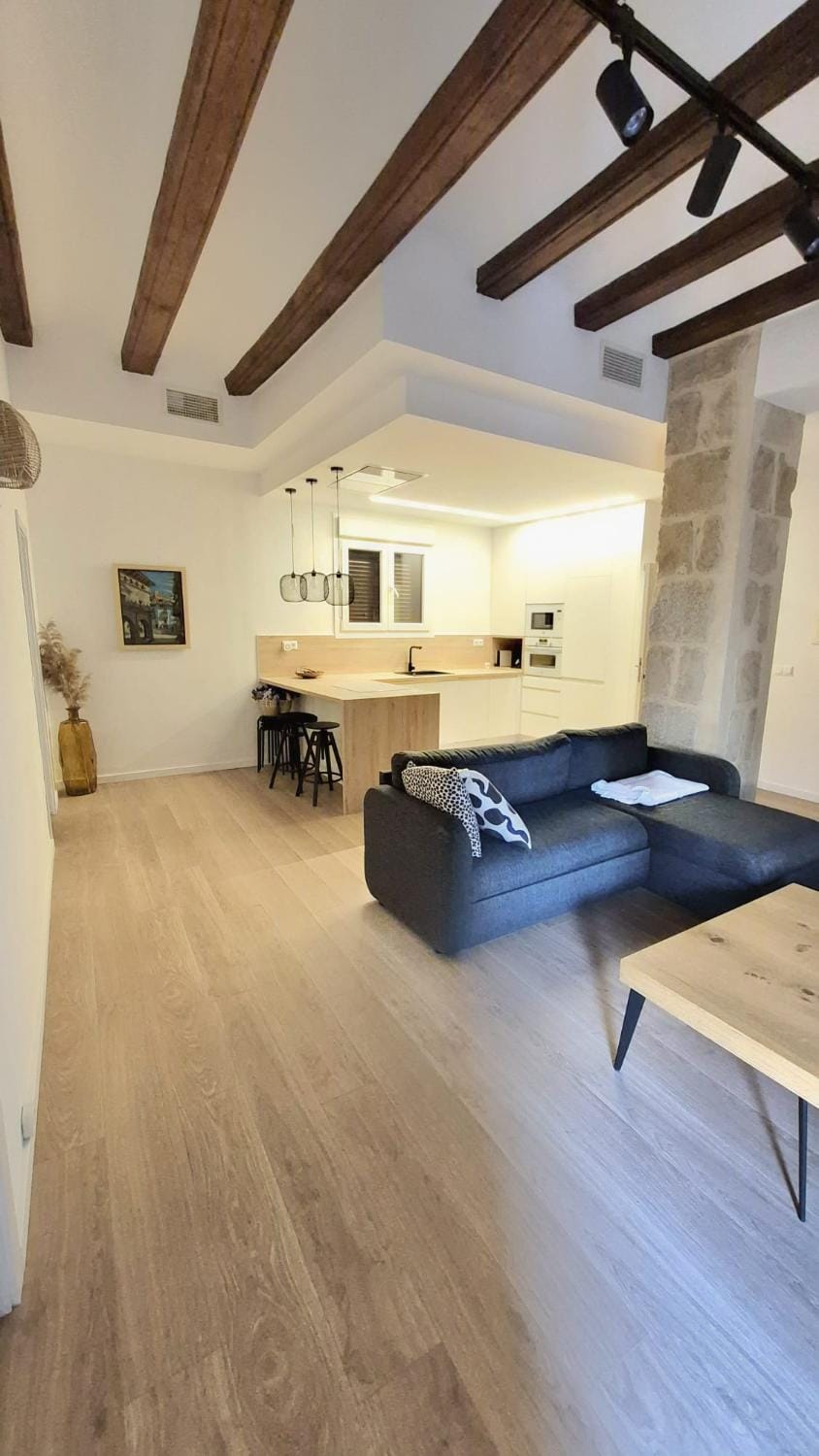 Casa riera Apartment in Aragon