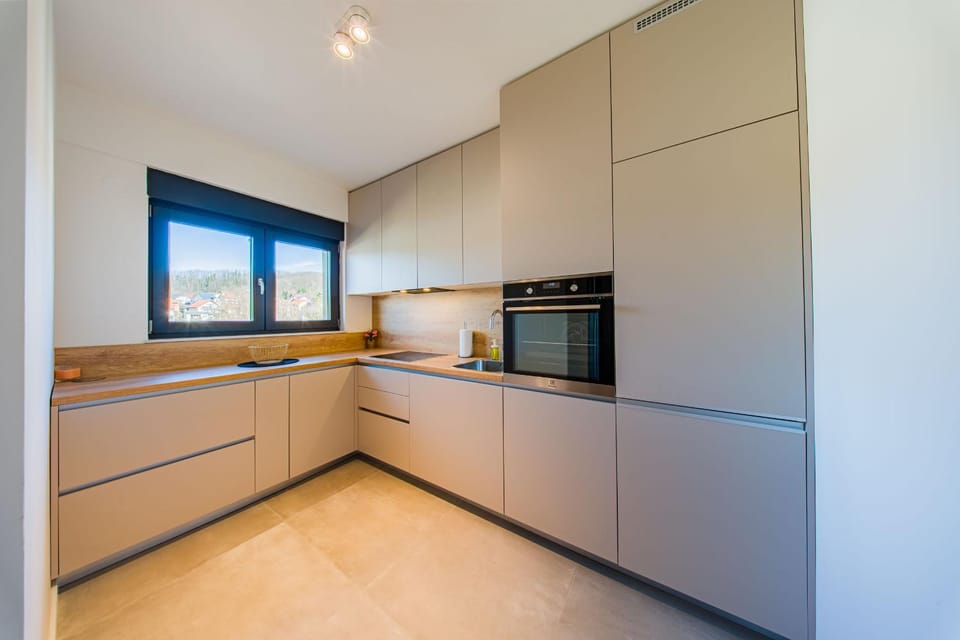 Kitchen or kitchenette, dishwasher, oven, stove