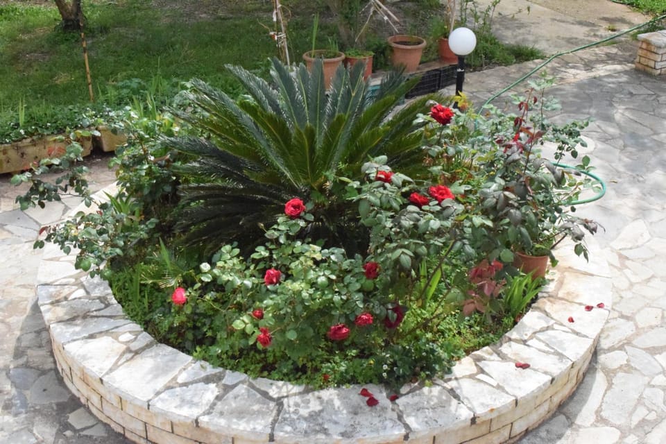 Lydia Rooms & Studios Bed and Breakfast in Peloponnese, Western Greece and the Ionian